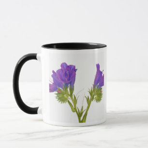 Mug Bugloss pourpre de vipères (plantagineum d'echium)