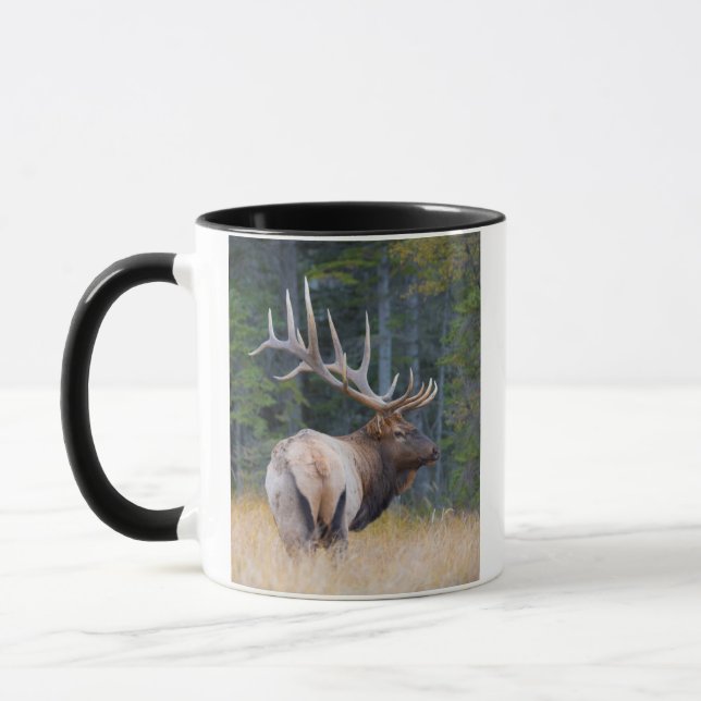 Mug Bull (Gauche)