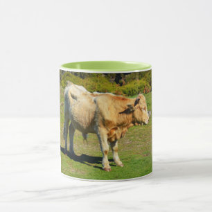 Mug Bull à Madère