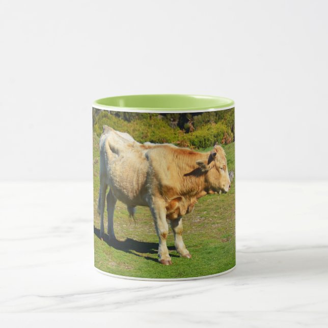 Mug Bull à Madère (Centre)