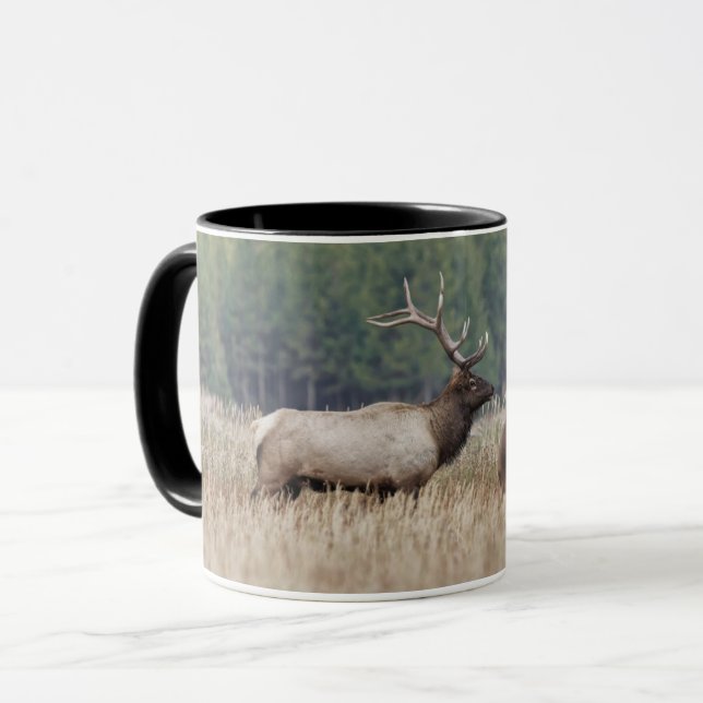 Mug Bull Elk dans le pré | Parc national de Yellowston (Devant gauche)