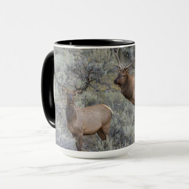 Mug Bull Elk | Parc national de Yellowstone, Wyoming (Devant gauche)