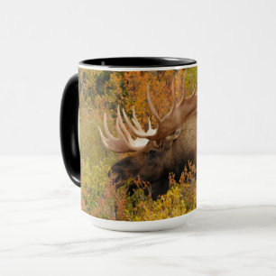 Mug Bull Moose   Parc national de Denali, Alaska