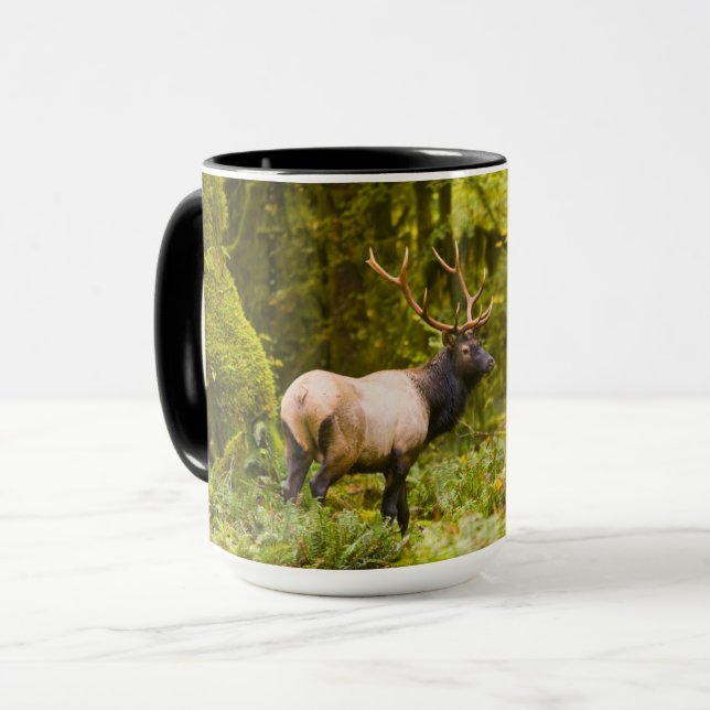 Mug Bull Roosevelt Elk Debout Dans Le Pré (Devant gauche)