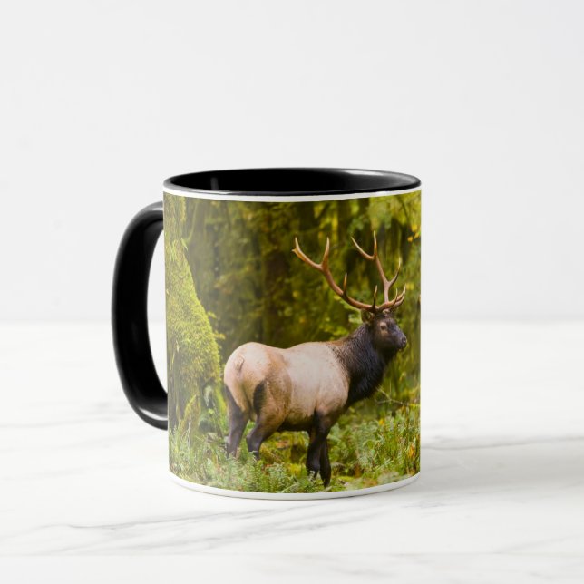 Mug Bull Roosevelt Elk Debout Dans Le Pré (Devant gauche)