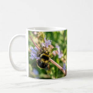 Mug Bumblebebe sur une boue de Fleur sauvage de lavand