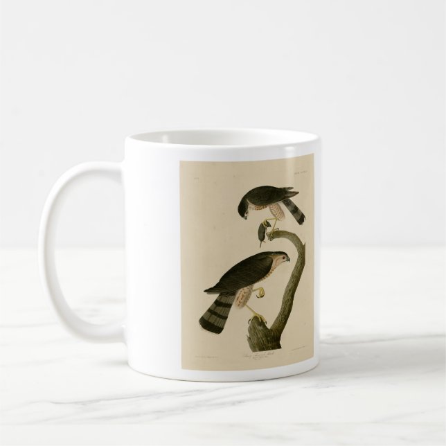 Mug Buse à tête blanche des oiseaux d'Amérique d'Audub (Gauche)