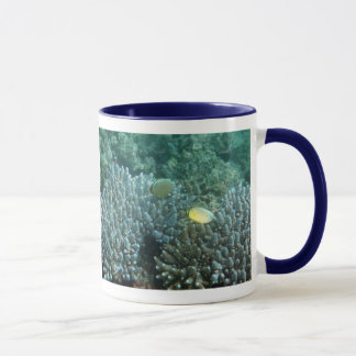 Mug Butterflyfish de perches de la Manche (lunulatus