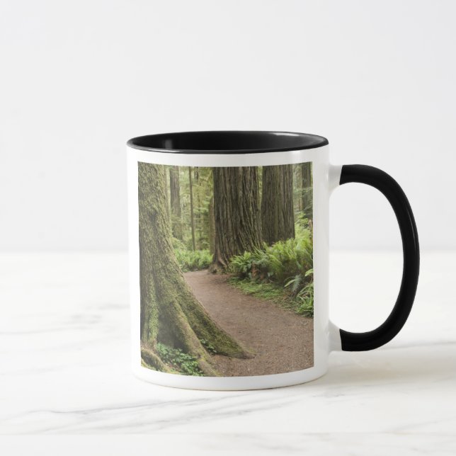 Mug CA, Jedediah Smith State Park, Simpson Reed (Droite)