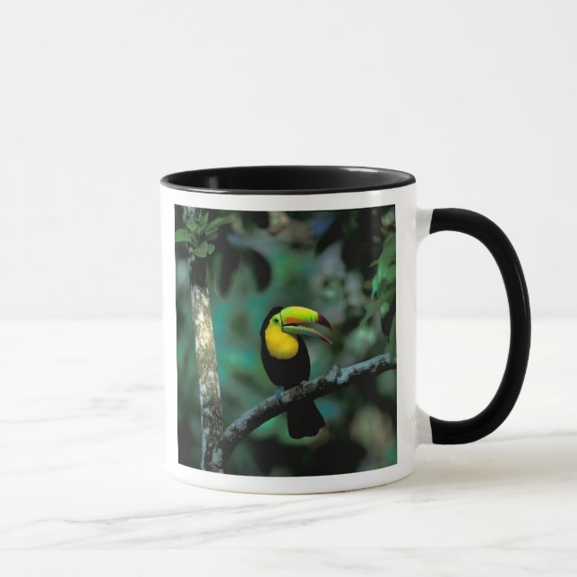 Mug CA, Panama, Parc national de Souveraineté, Toucan  (Droite)