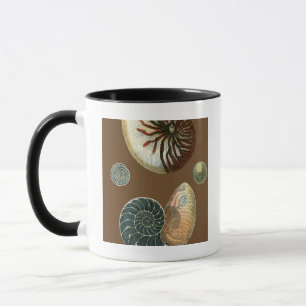 Mug Cacao Shell