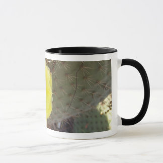 Mug Cactus
