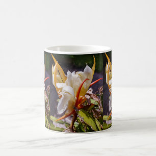 MUG CACTUS DRAGON POLYNÉSIEN FLEUR DE NUIT 