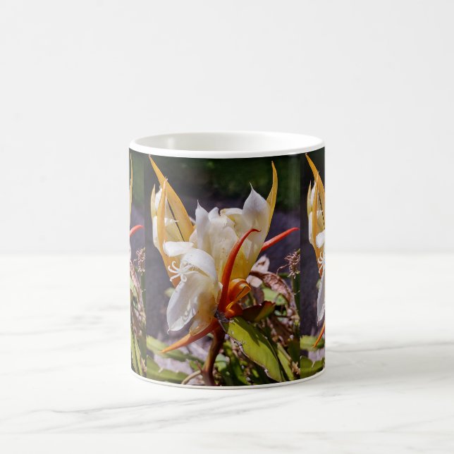 MUG CACTUS DRAGON POLYNÉSIEN FLEUR DE NUIT  (Centre)