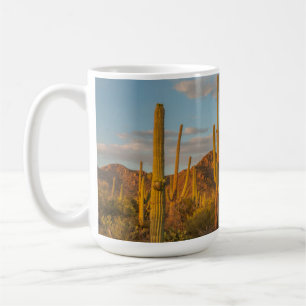 Mug Cactus saguaro au coucher du soleil, Arizona