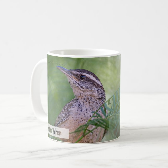 Mug Cactus Wren Matthew 6:25 KJV (Devant gauche)