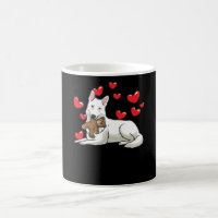 Cadeau de berger suisse blanc