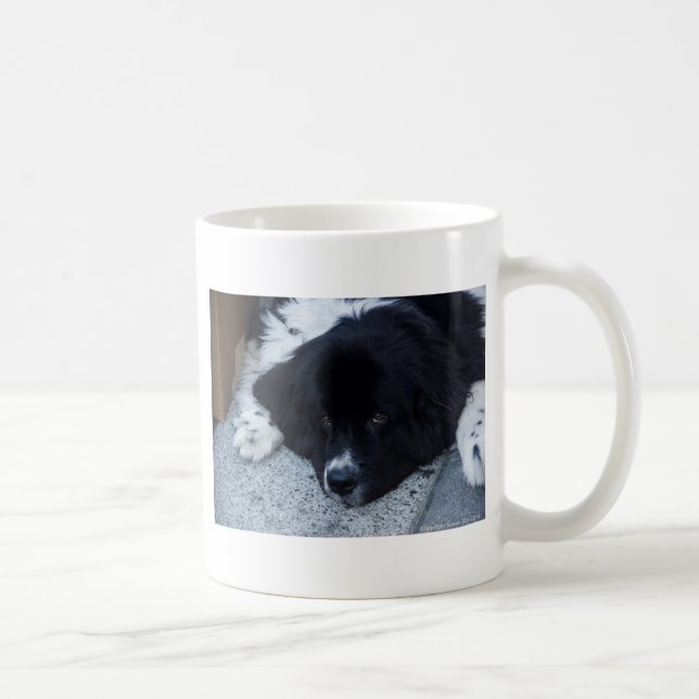 Mug Cadeaux précieux de Landseer Terre-Neuve (Droite)