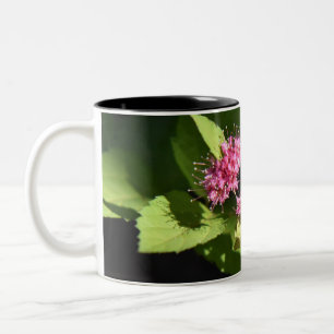 Mug Café 11oz Deux Tons par Pure Photography