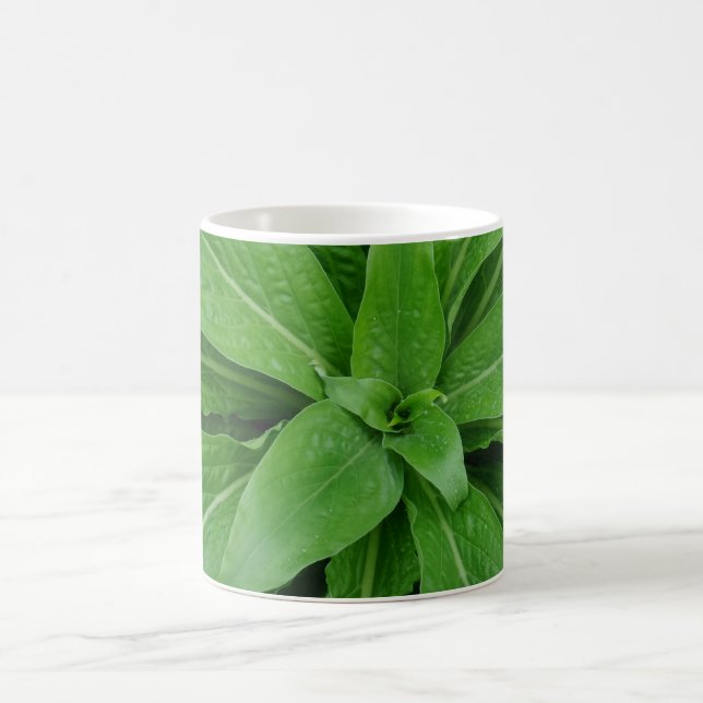 Mug café blanc Plante vert (Centre)