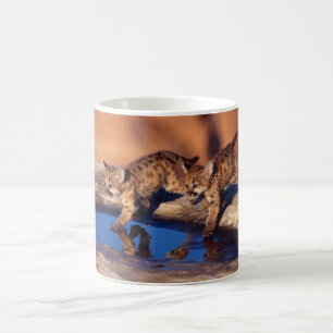 Mug Café en céramique Mug-Cougar Cubs
