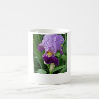 Mug café Iris violet
