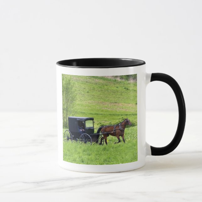 Mug Caleship Amish près de Berlin, Ohio. (Droite)