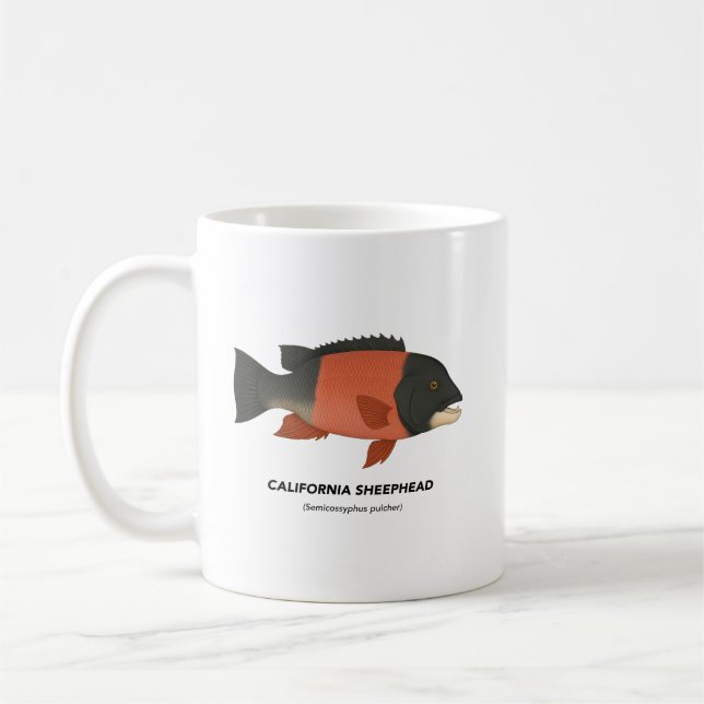 Mug California Sheephead - Animaux marins de Californi (Gauche)