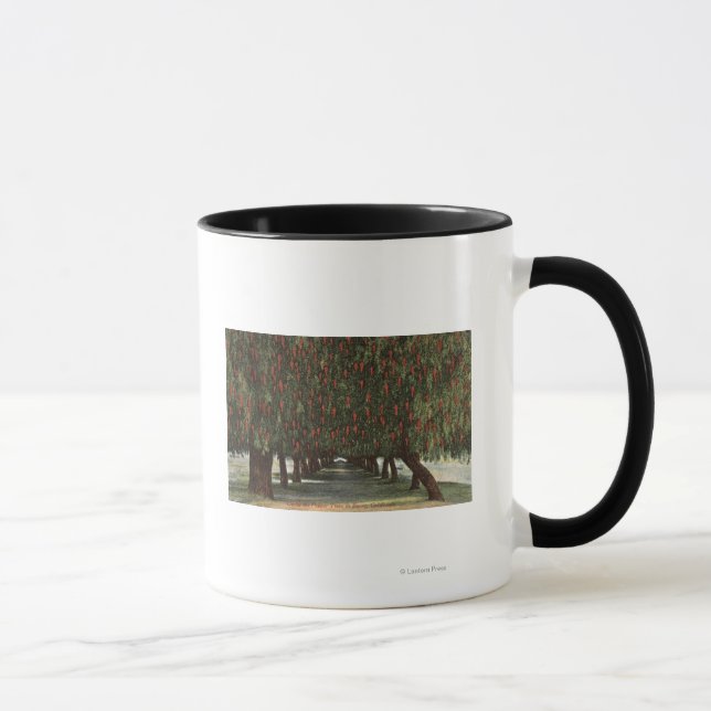 Mug CalifornieGroves de poivriers (Droite)