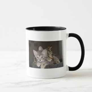 Mug Câlin