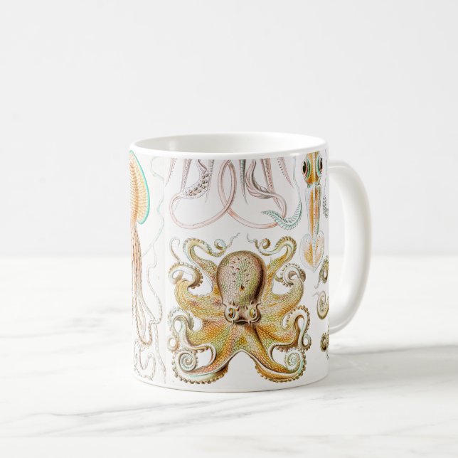 Mug Calmar de poulpe, Gamochonia, par Ernst Haeckel (Devant droit)