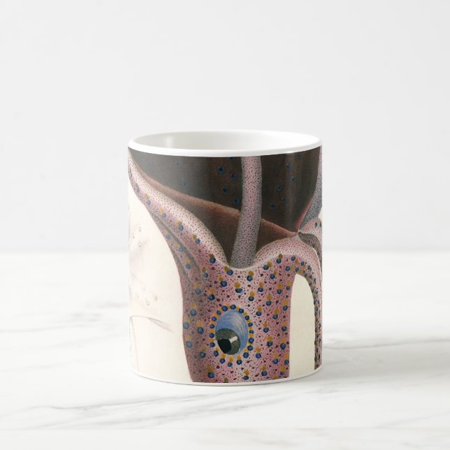 Mug Calmar Parasol, Animaux Marins Vintage (Centre)