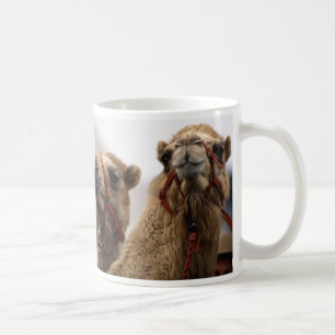 Mug Camels