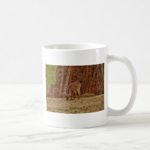 Mug Camouflage en chêne rouge Stag Buck Deer Nourritur