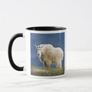 Mug Canada, Alberta, parc national de Jasper,