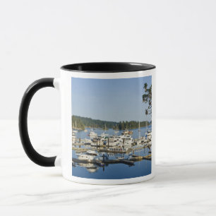 Mug Canada, Colombie-Britannique, îles Gulf, île Salts