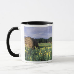Mug Canada, Colombie-Britannique, Kitwanga. Jaune