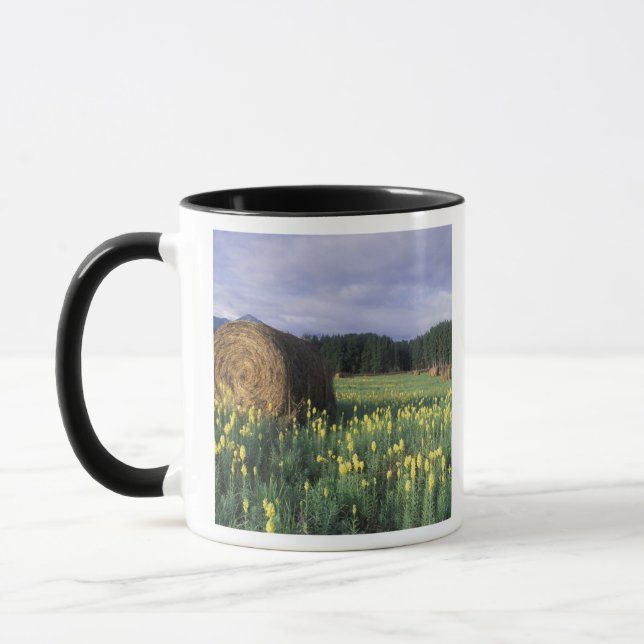 Mug Canada, Colombie-Britannique, Kitwanga. Jaune (Gauche)