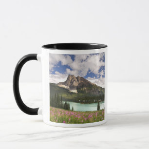 Mug Canada, Colombie-Britannique, parc national de Yoh