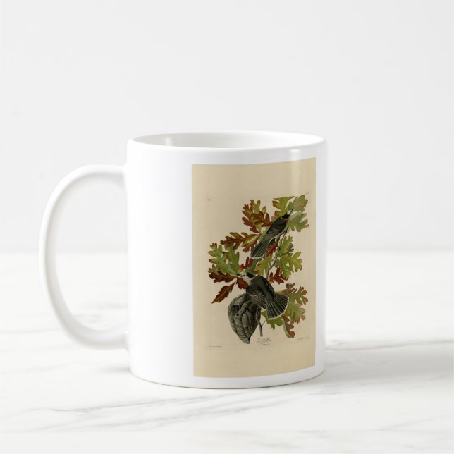 Mug Canada Jay (Grey Jay) - Audubon's Birds of America (Gauche)