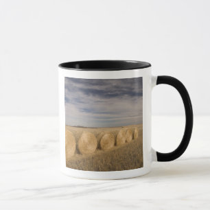 Mug Canada, Saskatchewan, Craik : Roulements de foin /