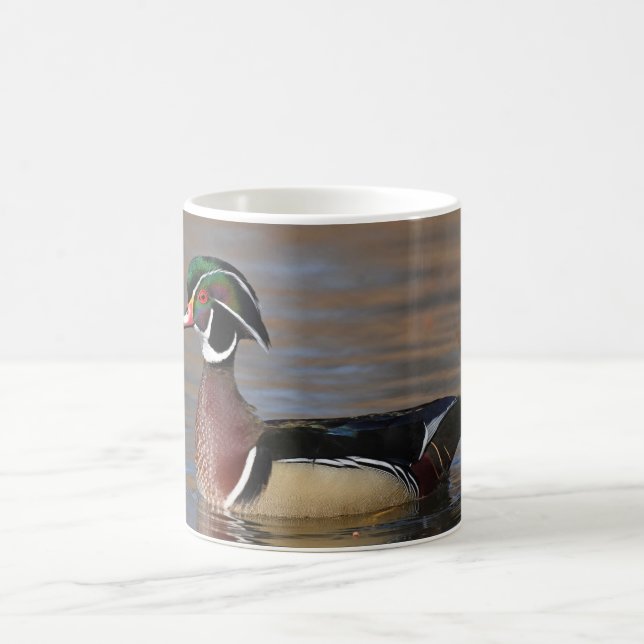 Mug Canard à bois mâle (Centre)