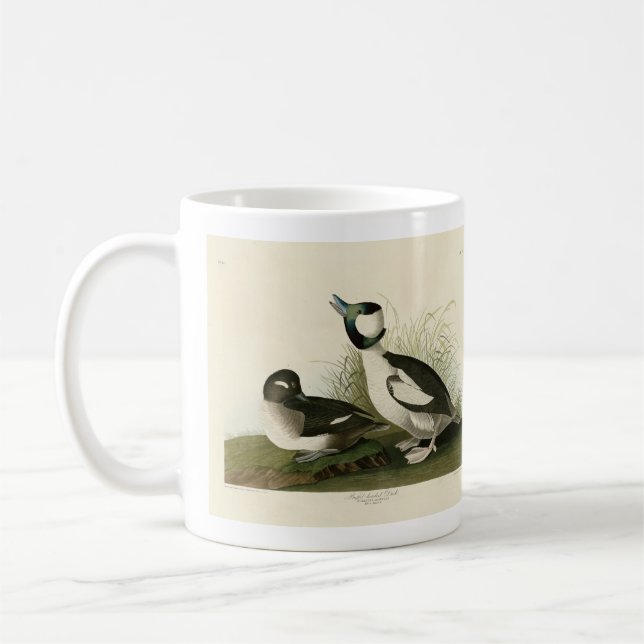 Mug Canard à tête de buffle des oiseaux d'Amérique d'A (Gauche)