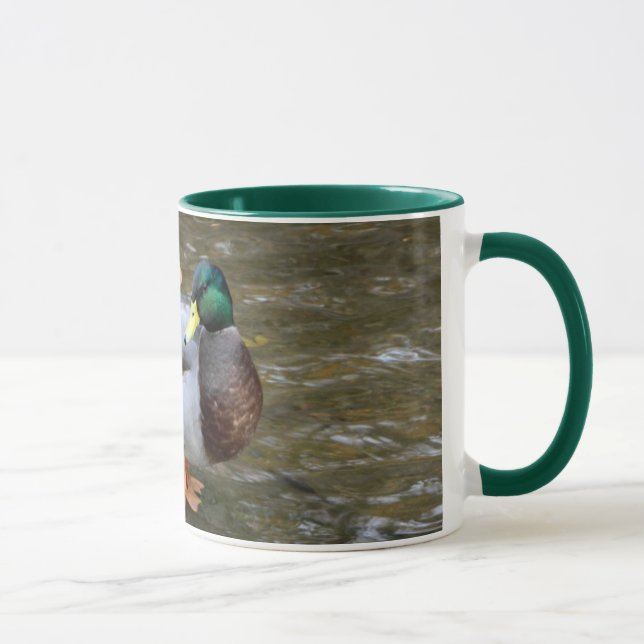 Mug Canard mâle Mallard dans la boue de Clear Creek (Droite)