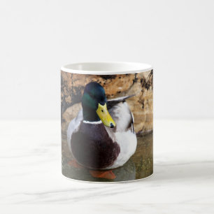 Mug Canard masculin de Mallard