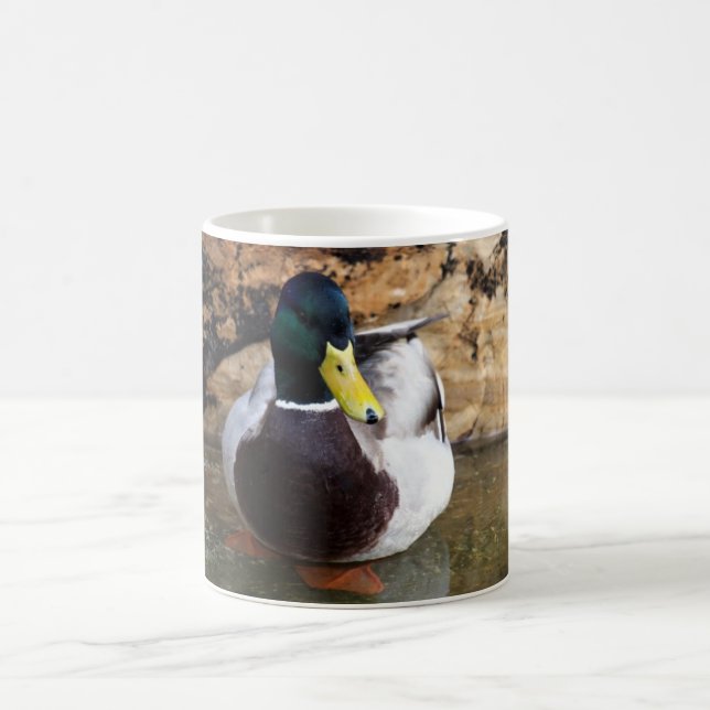 Mug Canard masculin de Mallard (Centre)