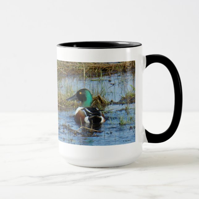 Mug Canard souchet mâle B25 (Droite)