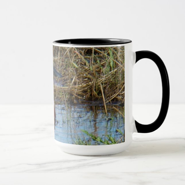 Mug Canard souchet mâle B26 (Droite)