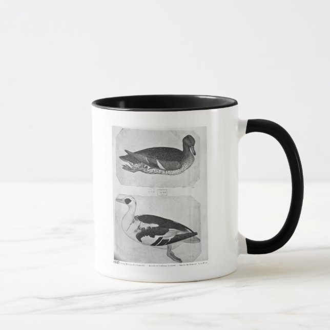 Mug Canards, le de l'album de Vallardi (Droite)