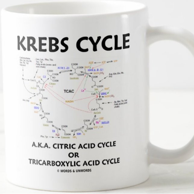 Mug Cancer Cycle A.K.A. (Biochemistry attitude mug for any Krebs cycle fan)